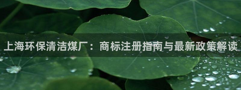 <h1>凯发官网入口首页小米</h1>上海环保清洁煤厂：商标注册指南与最新政策解读