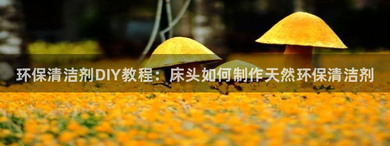 <h1>凯发k8国际(中国)官方网站·一触即发一径科技</h1>环保清洁剂DIY教程：床头如何制作天然环保清洁剂